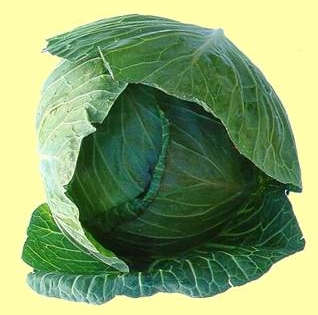 Káposztafélék