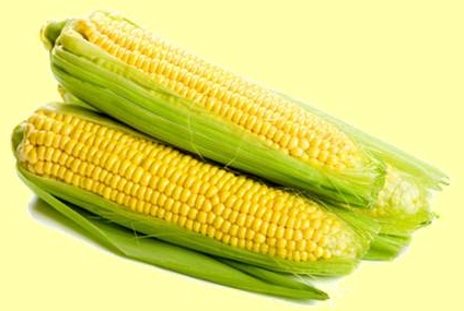 Kukorica