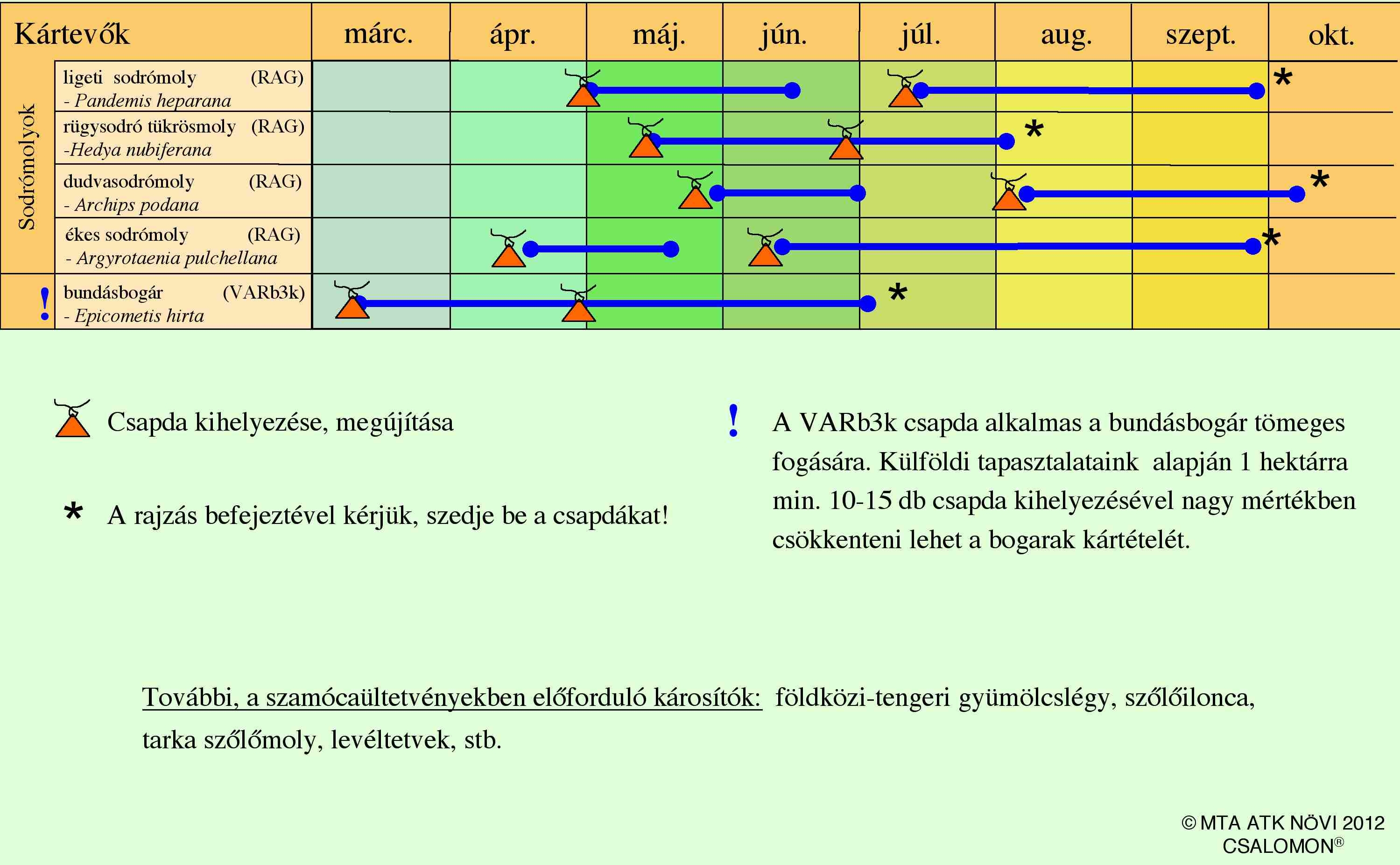 Szamóca csapdázási naptár