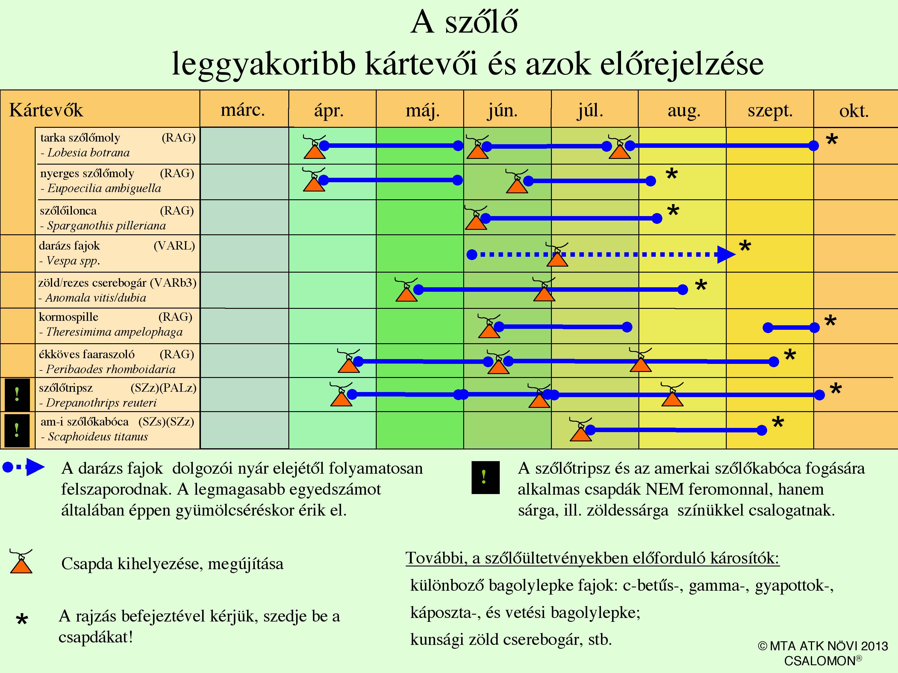 Szőlő csapdázási naptár