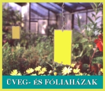 Üvegház és fólia